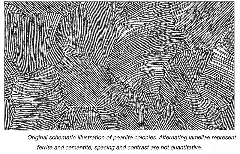 Schematic illustration of pearlite colonies with alternating ferrite and cementite lamellae